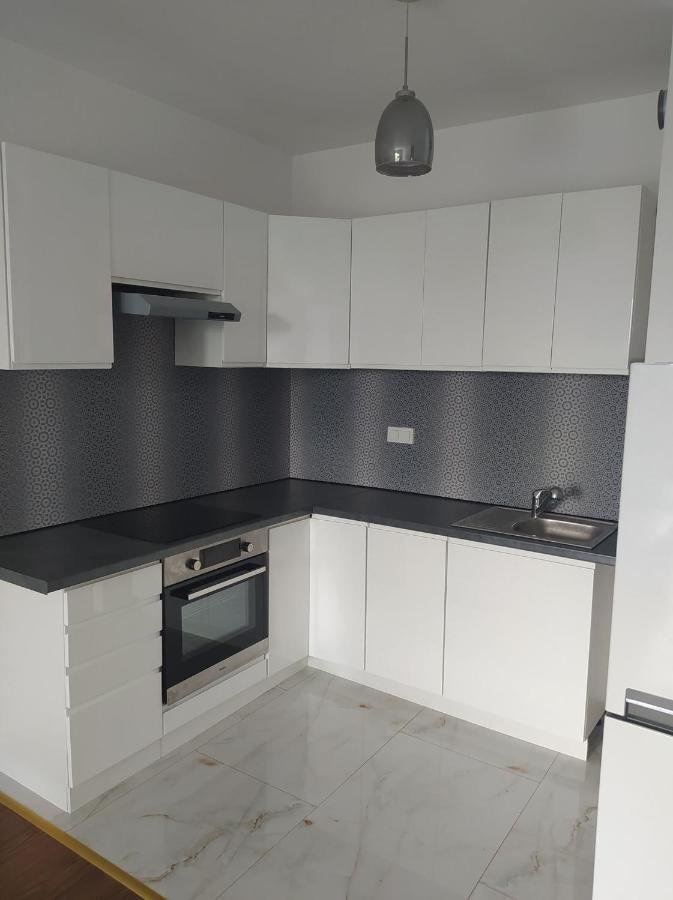 Silver Apartment Varşova Dış mekan fotoğraf